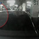 대형주차장(여) 이미지