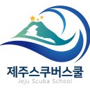 스쿠버청년사업단 이미지