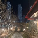 배롱나무길 | 구미옥계밥집 옥계동맛집 배롱나무집