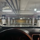 문태식 | (241208) 24-25 KBL프로농구 네번째직관 챔피언결정전 저리가라(?) 수원KT소닉붐 VS 부산KCC이지스 수원...