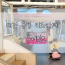 우니코유어빔보키즈카페 | 대전 유성 키즈카페 유어빔보 U'r bimbo 내돈내산 후기 (feat. 브런치 맛도리집 우니코 Unico)