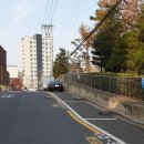 주차51 이미지