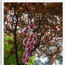 남신초등학교 병설유치원 이미지