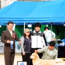 치우인터내셔날 이미지