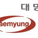 대명 이미지