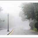안개길 이미지