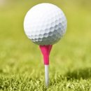 (주)나이스트리 이미지