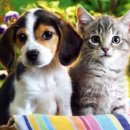 나의 소중한, 오늘 이미지