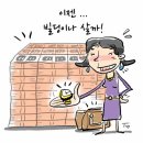 '180억 횡령 '대우조선 차장 내연녀도 구속..돈세탁·명품숍 차리고 50억짜리 빌딩 매입 이미지