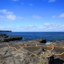 제주파도소리와 돌공원 이미지