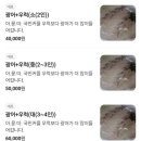 바다회포차 이미지