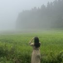 바리메오름 | 제주 서쪽 바리메오름 흐린 날 방문 후기(흐린날도 알고 가세요)