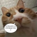 4월 내가 가장 좋아하는