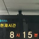 돈까스짱 망포점 | 8월 4주차)망포복합체육센터 수영 등록 후기, 수켓팅, 강남역 어퍼앤언더 비추 후기, 돼지파티에 여러분...