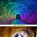 광명동굴 (코끼리차 주차장) 이미지