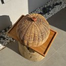 지족리해 이미지