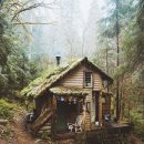 생명예찬2 이미지