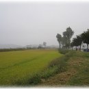 이야기가 있는 생태 탐방로 이미지