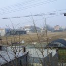 로벨리타운 이미지