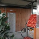 태평골 낚시가든 이미지