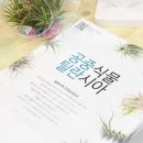 조인플라워