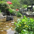 솔바람 들꽃향기 이미지