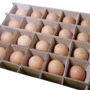 선한부자농장 이미지