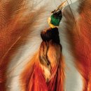 A WORLD TOUR WITH CM 이미지