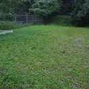 1.21침투로 이미지