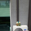 도그엔조이 이미지