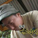 피크닉스시