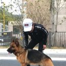 펫 로드스타 컴퍼니 이미지