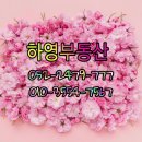 하영공인중개사사무소 이미지