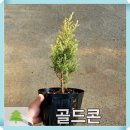 g0162 쇼핑하우