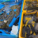 청도상회 이미지