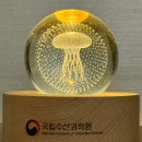 위도수산 | [후기] 해파리 신고하면 무드등을 준다니? 댕이득! (feat. 국립수산과학원에 해파리 신고하는 법)