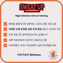 장기미소약국 | 약사가 직접 해봤습니다. 당독소학회 '5일의 기적' 소식 세트, 혈압이 정상으로 돌아왔습니다.