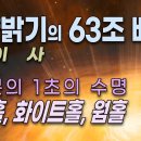 화이트홀 Daum카페