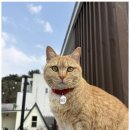 풀빌라, 오롯이 이미지