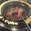 갈매기먹짱 이미지