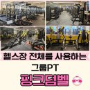 핑크덤벨 이미지