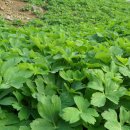 버스정류장 06-351 이미지