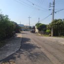 온평리-9 이미지