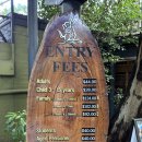 마이딩고 | 호주 시드니여행 블루마운틴 당일투어 페더데일 동물원 오후 입장 후기