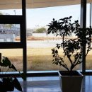 무료영화상영(이웃집 토토로) 이미지