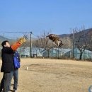 조류보호협회 밀양시지회 네이버블로그