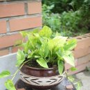 장독민박 이미지