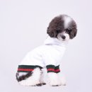 명품애견 이미지