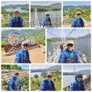 옥정 메타세콰이아길 | (240516)경수산악회 전북임실 옥정호둘레길/국사봉 출렁다리 붕어섬 생태공원 요산공원 트레킹