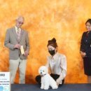 위드미펫살롱 이미지